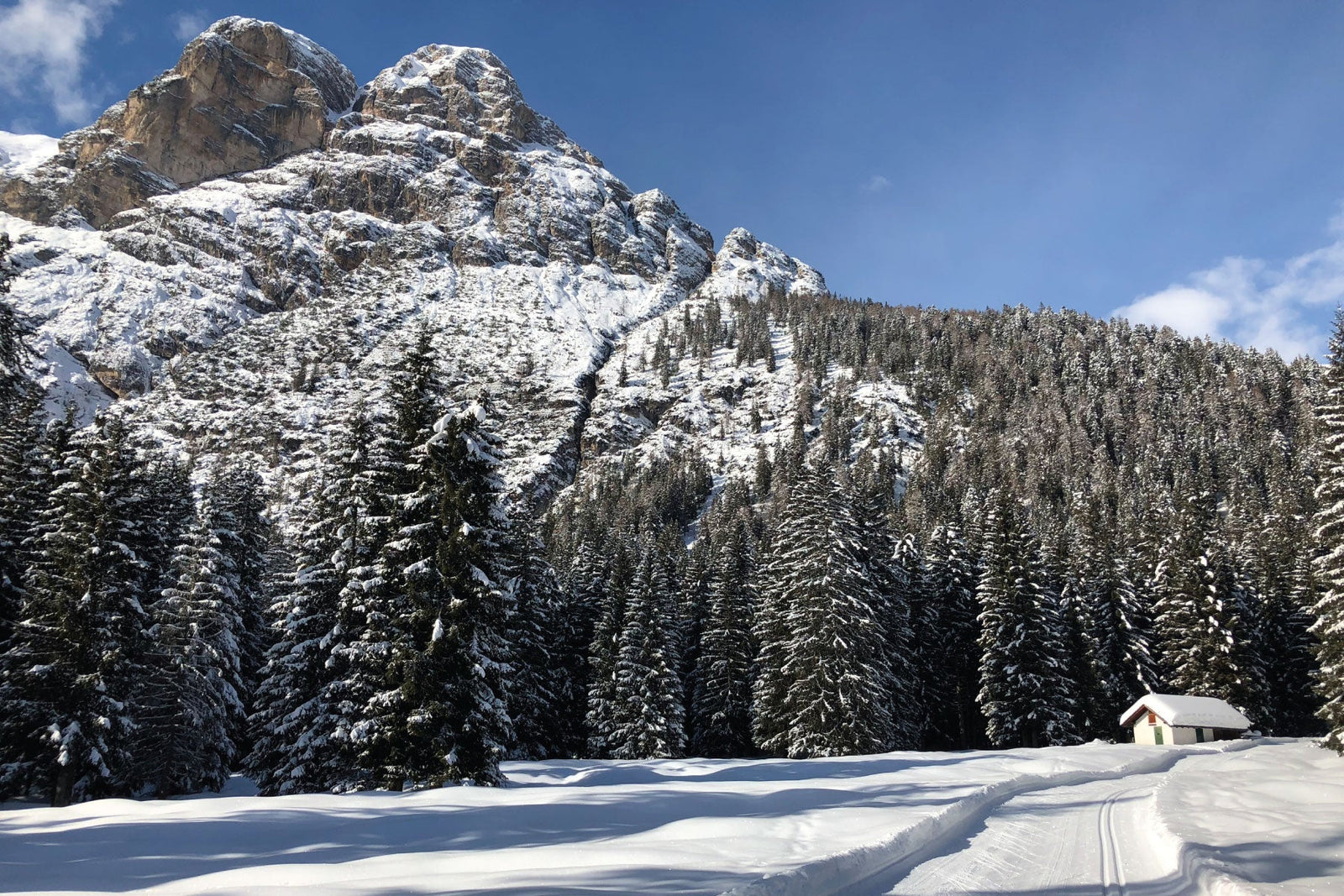 Quench'd: On Equal Distance Racing